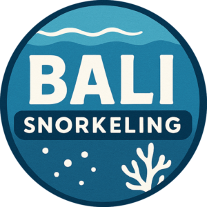 Logo Bali Snorkeling