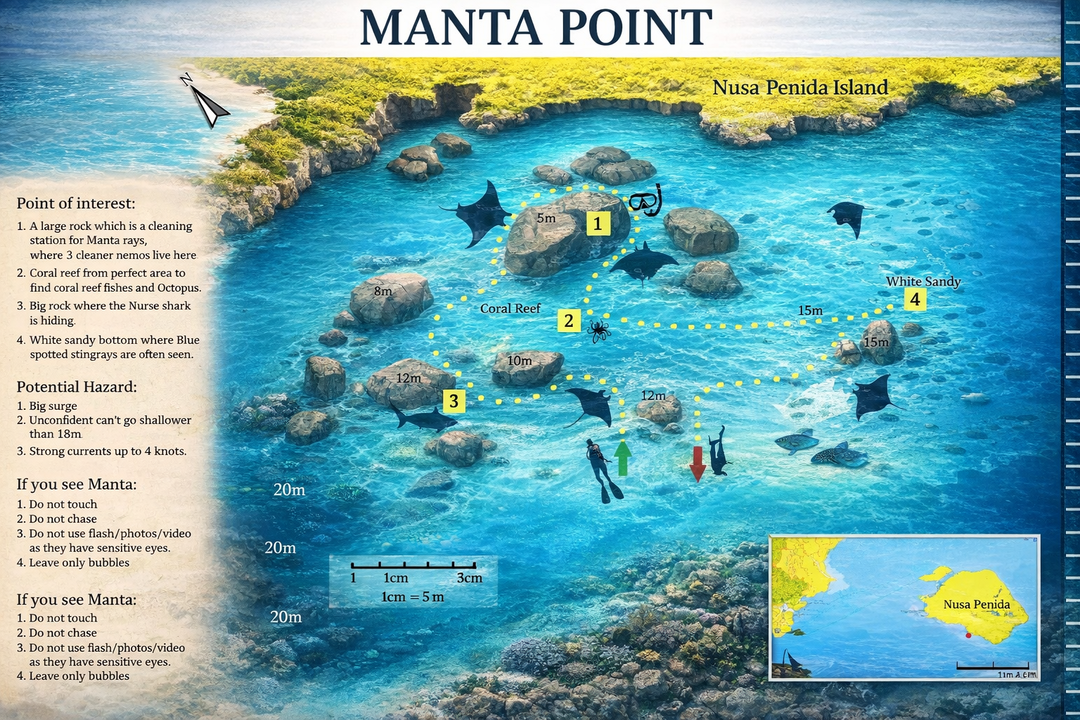 Manta Point Nusa Penida snorkeling with manta rays